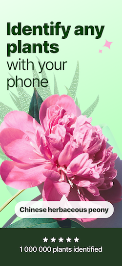 Plant Identifier